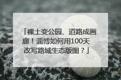 裸土变公园、道路成画廊！淄博如何用100天改写路域生态版图？