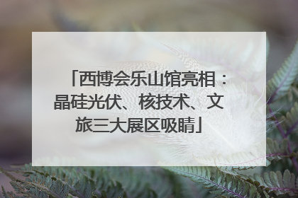 西博会乐山馆亮相：晶硅光伏、核技术、文旅三大展区吸睛