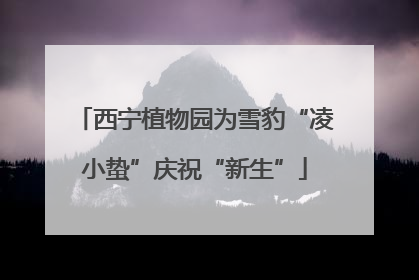 西宁植物园为雪豹“凌小蛰”庆祝“新生”