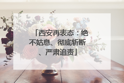 西安再表态：绝不姑息、彻底斩断、严肃追责