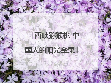 西峡猕猴桃 中国人的阳光金果