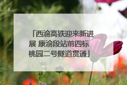 西渝高铁迎来新进展 康渝段站前四标桃园二号隧道贯通