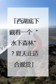 西湖底下藏着一个“水下森林”？夏天正适合观赏