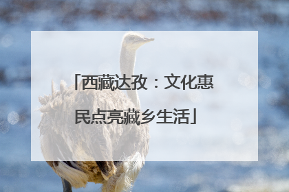 西藏达孜：文化惠民点亮藏乡生活
