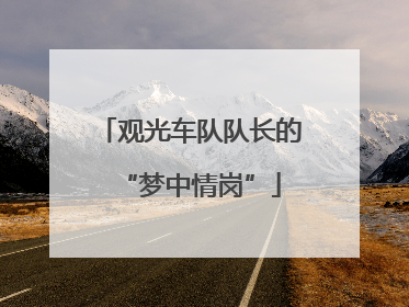 观光车队队长的“梦中情岗”