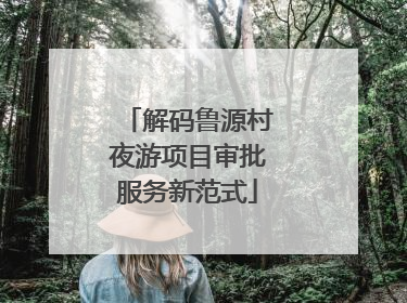 解码鲁源村夜游项目审批服务新范式
