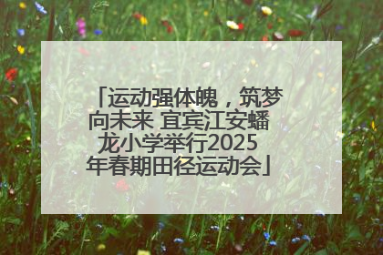 运动强体魄，筑梦向未来 宜宾江安蟠龙小学举行2025年春期田径运动会