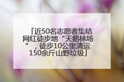 近50名志愿者集结网红徒步地“天鹅林场”，徒步10公里清运150余斤山野垃圾