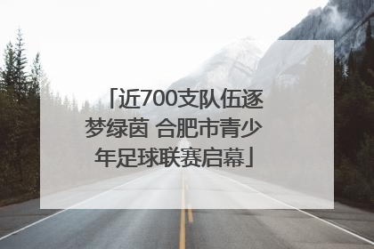 近700支队伍逐梦绿茵 合肥市青少年足球联赛启幕