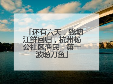 还有六天，钱塘江鲜回归，杭州杨公社区渔民：第一波盼刀鱼