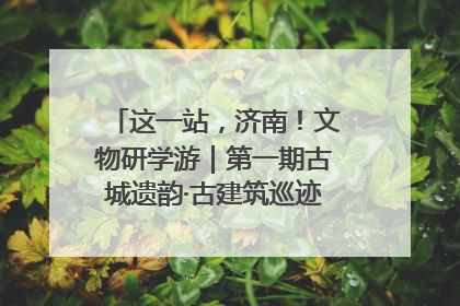 这一站，济南！文物研学游｜第一期古城遗韵·古建筑巡迹之旅圆满结束