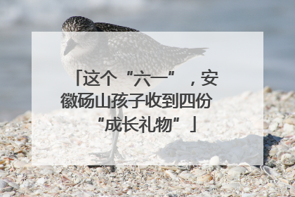 这个“六一”，安徽砀山孩子收到四份“成长礼物”