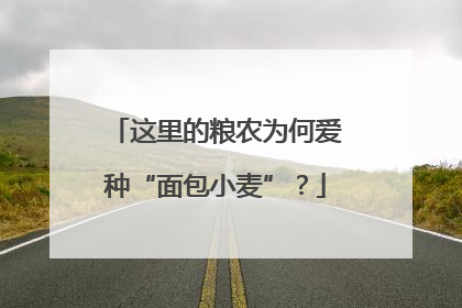 这里的粮农为何爱种“面包小麦”？