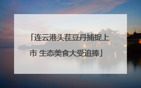 连云港头茬豆丹捕捉上市 生态美食大受追捧