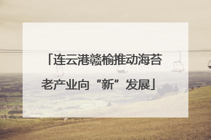 连云港赣榆推动海苔老产业向“新”发展