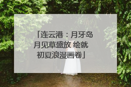 连云港：月牙岛月见草盛放 绘就初夏浪漫画卷