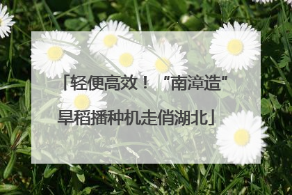 轻便高效！“南漳造”旱稻播种机走俏湖北
