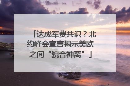 达成军费共识？北约峰会宣言揭示美欧之间“貌合神离”