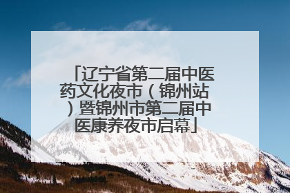 辽宁省第二届中医药文化夜市（锦州站）暨锦州市第二届中医康养夜市启幕