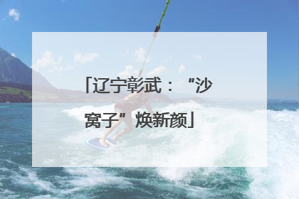 辽宁彰武：“沙窝子”焕新颜