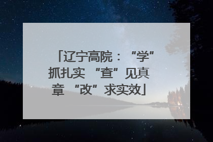 辽宁高院：“学”抓扎实 “查”见真章 “改”求实效