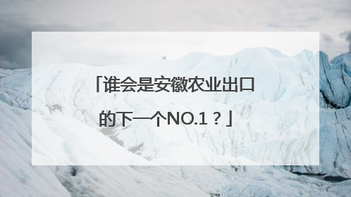 谁会是安徽农业出口的下一个NO.1？