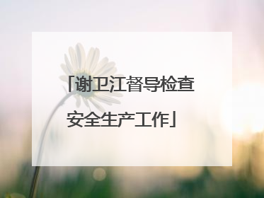 谢卫江督导检查安全生产工作