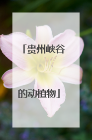 贵州峡谷的动植物