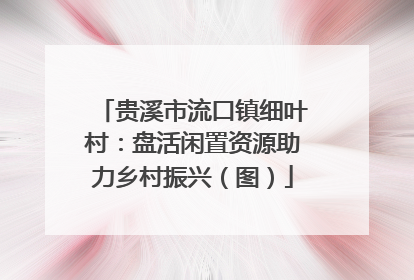 贵溪市流口镇细叶村：盘活闲置资源助力乡村振兴（图）