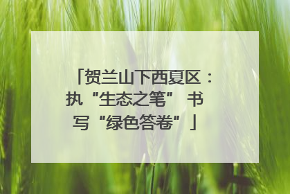 贺兰山下西夏区：执“生态之笔” 书写“绿色答卷”