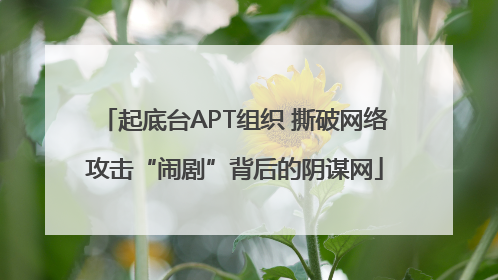 起底台APT组织 撕破网络攻击“闹剧”背后的阴谋网