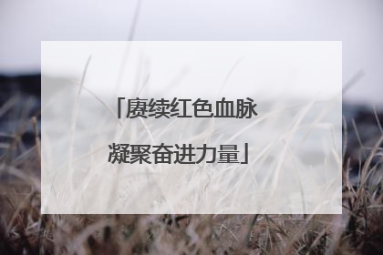赓续红色血脉 凝聚奋进力量
