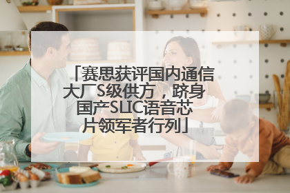 赛思获评国内通信大厂S级供方，跻身国产SLIC语音芯片领军者行列
