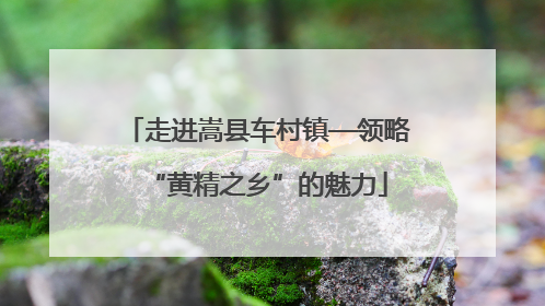 走进嵩县车村镇—领略“黄精之乡”的魅力