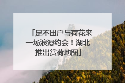 足不出户与荷花来一场浪漫约会！湖北推出赏荷地图