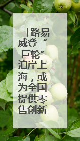 路易威登“巨轮”泊岸上海，或为全国提供零售创新示范