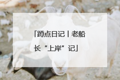 蹲点日记丨老船长“上岸”记