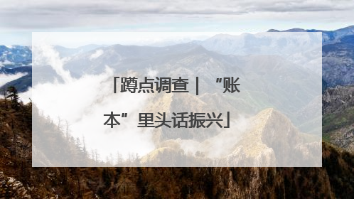 蹲点调查｜“账本”里头话振兴