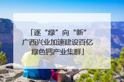 逐“绿”向“新” 广西兴业加速建设百亿绿色钙产业集群