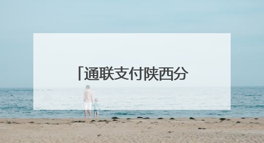 通联支付陕西分公司以云商通方案助力长安唐村绘就文旅新图景