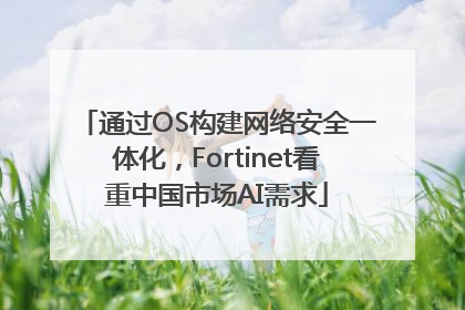 通过OS构建网络安全一体化，Fortinet看重中国市场AI需求