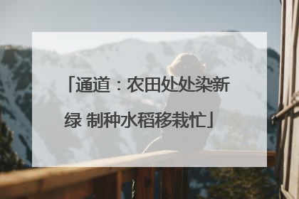 通道：农田处处染新绿 制种水稻移栽忙