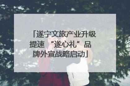 遂宁文旅产业升级提速 “遂心礼”品牌外宣战略启动