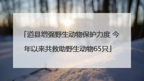 道县增强野生动物保护力度 今年以来共救助野生动物65只
