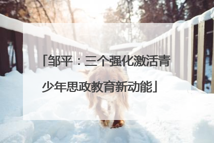 邹平：三个强化激活青少年思政教育新动能