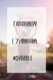 邓勃视界｜万物同栖岭南图