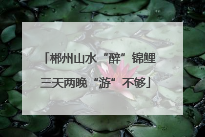 郴州山水“醉”锦鲤 三天两晚“游”不够
