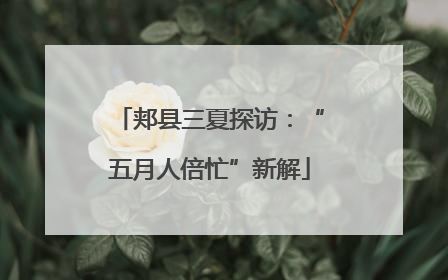 郏县三夏探访：“五月人倍忙”新解
