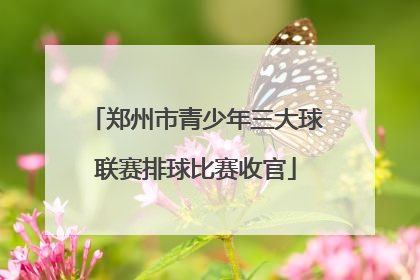郑州市青少年三大球联赛排球比赛收官