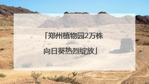 郑州植物园2万株向日葵热烈绽放